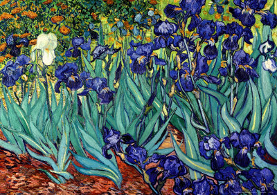 Irises, Saint-Remy, c.1889